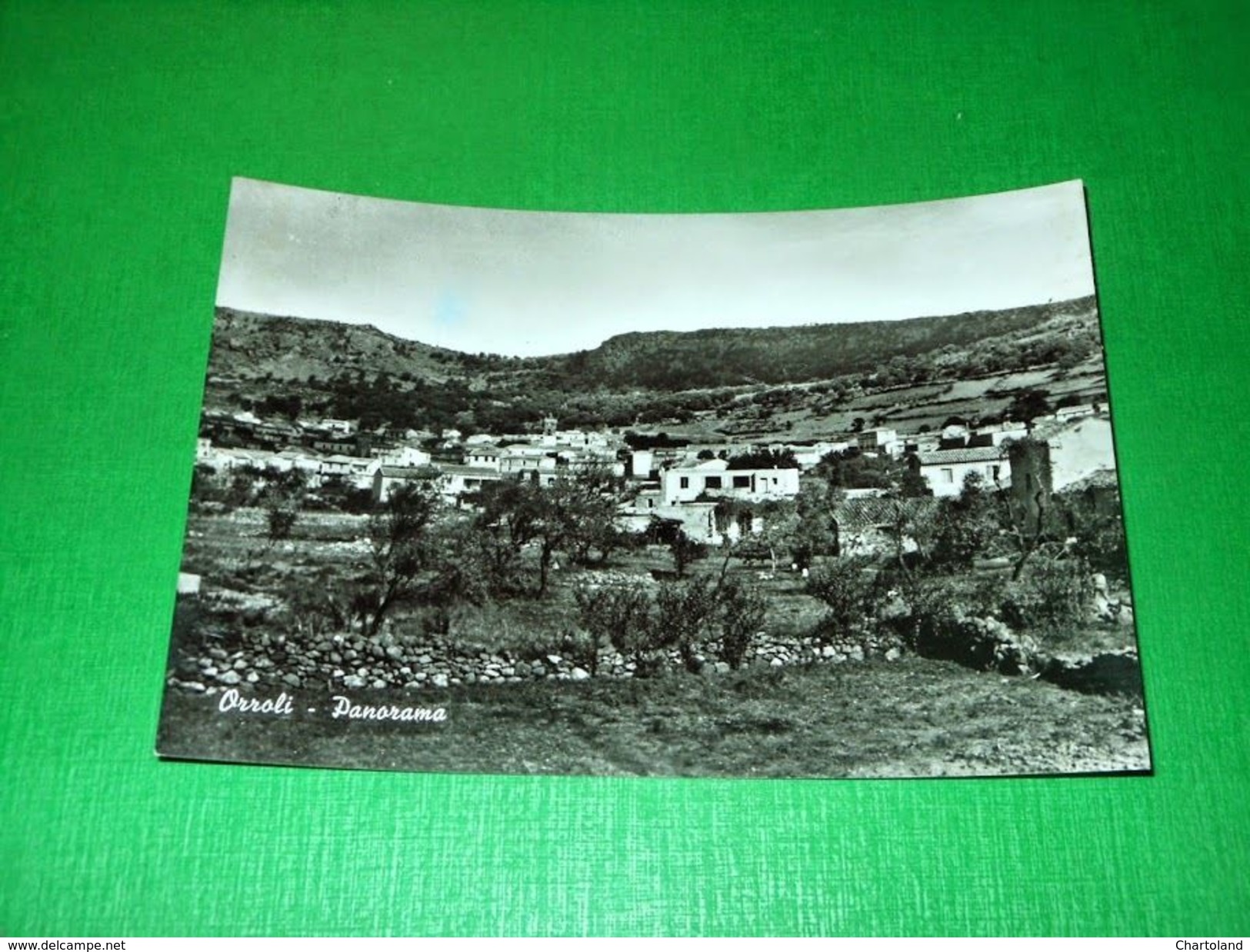 Cartolina Orroli - Panorama 1967 - Cagliari