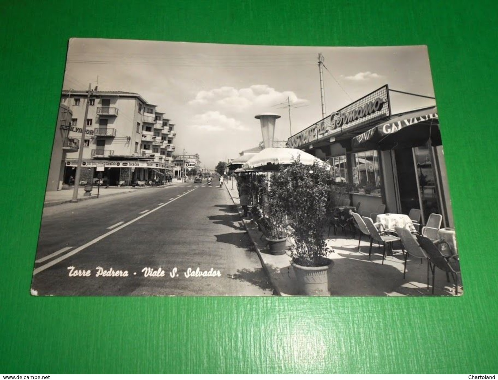 Cartolina Torre Pedrera - Viale S. Salvador 1966 - Rimini