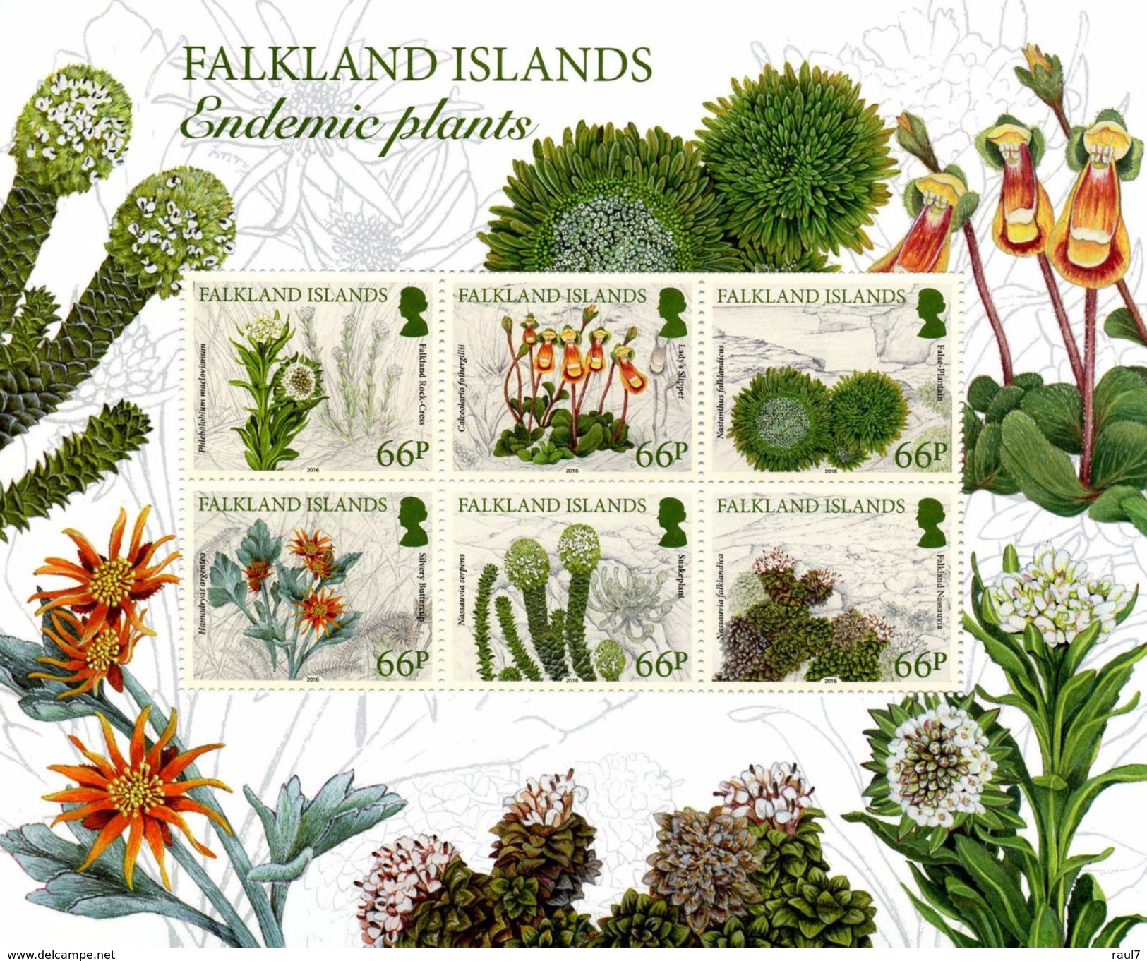 Falkland 2016 - Flore, Plantes Endémiques De Falkland - BF Neufs*** // Mnh - Falkland