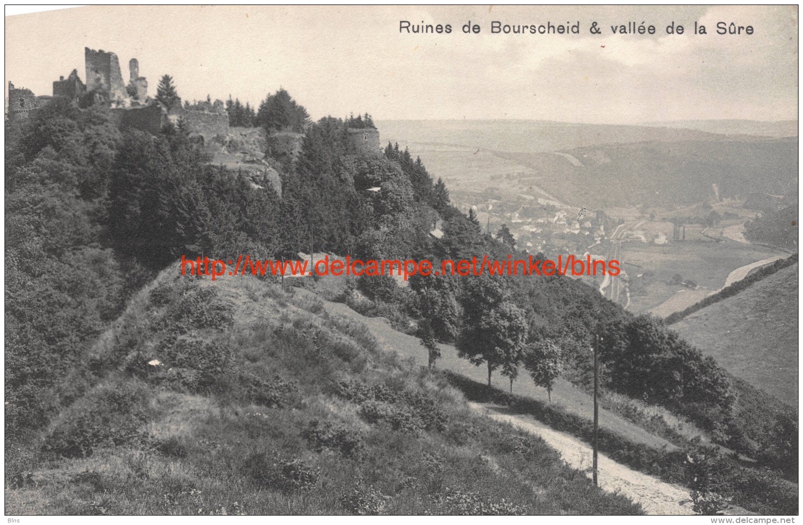 Ruines De Bourscheid - Bourscheid - Bourscheid