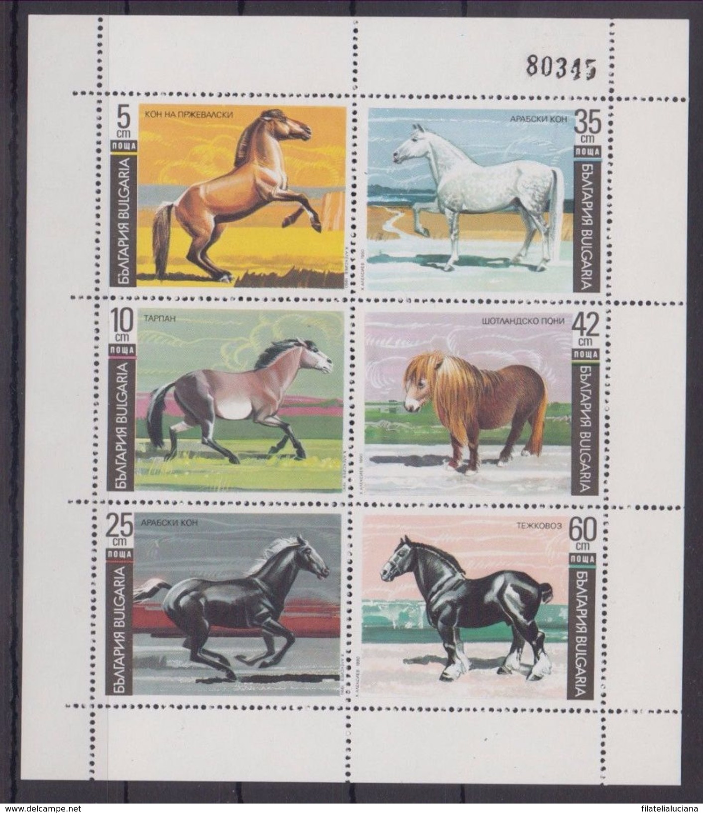 Bulgaria 1991 Sc3619a  Mi3903-08 1 MS MNH Horses - Cavalli