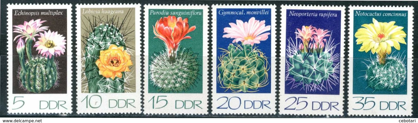 D.D.R. 1974** - Cactus - 6 Val. MNH Come Da Scansione. - Cactus