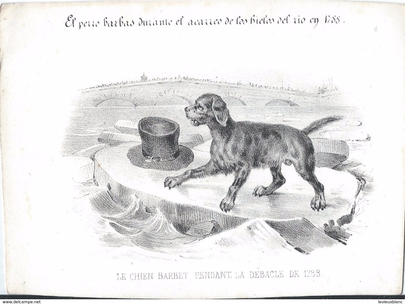 Image Litho/"les Animaux Savants"/Le Chien Barbet/d'aprés Dugourg/Turgis  Edit./Nepveu Lib./Paris/Vers 1840 IMA223 - Autres & Non Classés