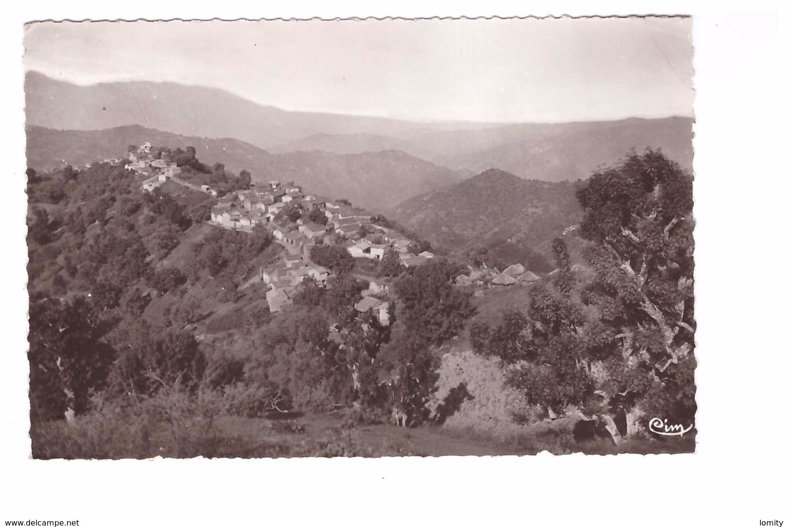 Algerie Kabylie Le Village De Taguemont Timbre + Cachet 1955 Carte Rare - Sonstige & Ohne Zuordnung