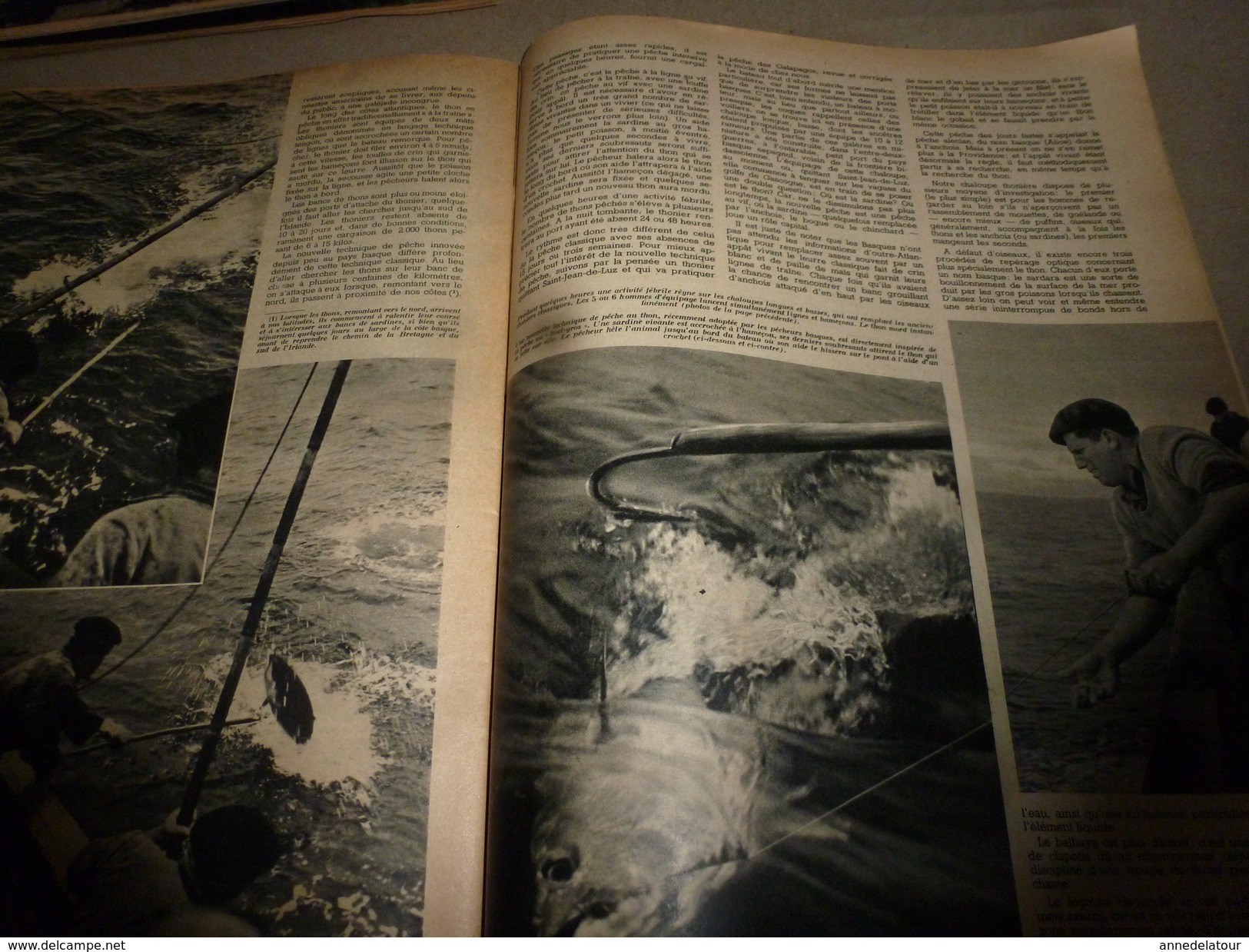 1953 SETA : La Pêche Au GROS ,des Bahamas Au Pays Basque En Passant Par La Nouvelle Ecosse; Satellite Artificiel ; Etc - Ciencia