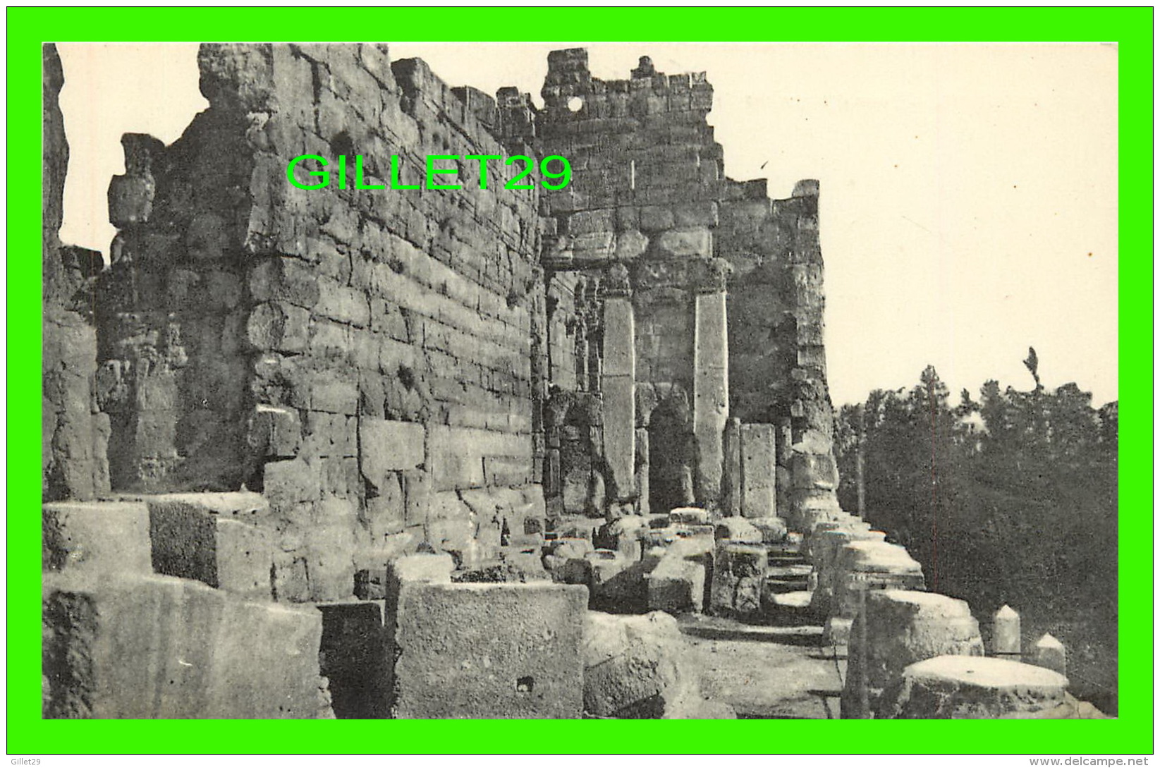 BAALBECK,  SYRIE - TOUR D'ANGLE DES PROPYLÉES - DOS VERT - - Syrie