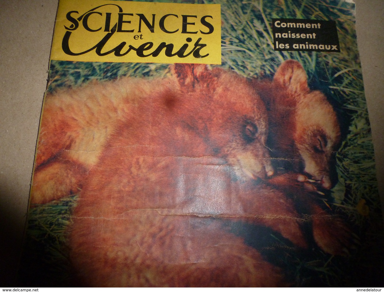 Années 50  SETA :L'atome British; Les Poissons Sanguinaires; Civilisation De L'INDUS; Comment Naissent Les Animaux; Etc - Ciencia