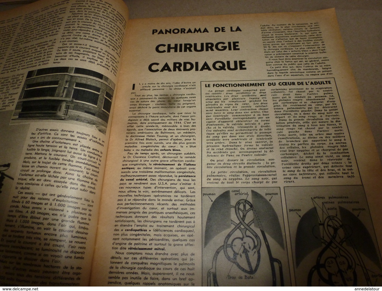 1953 SETA :Marsupiaux;Labo-FOUDRE;Chirurgie cardiaque;Alimentation An-2000)Sites préhistoriques-France;Hélico-Transport