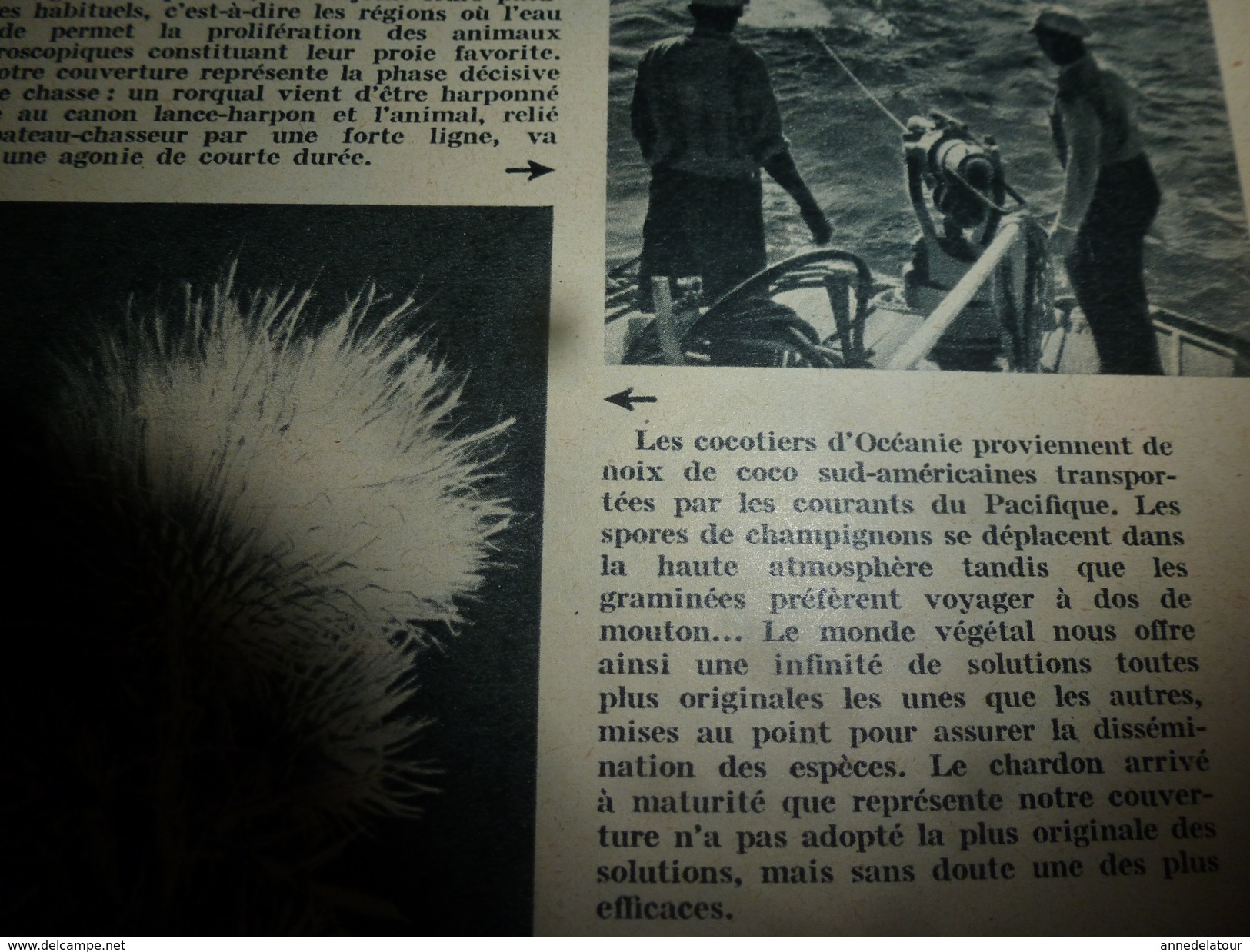 1954 SETA :Ecriture Crétoise;Rayonnement Cosmique;Problèmes Centrales Atomiques;Chasse Mammifères Marins;Acier Inox;etc - Ciencia