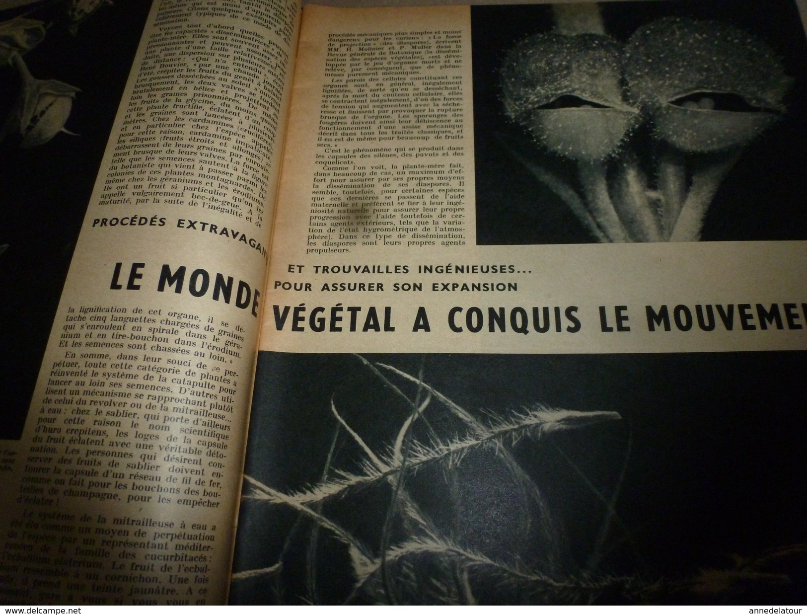 1954 SETA :Ecriture Crétoise;Rayonnement Cosmique;Problèmes Centrales Atomiques;Chasse Mammifères Marins;Acier Inox;etc - Ciencia