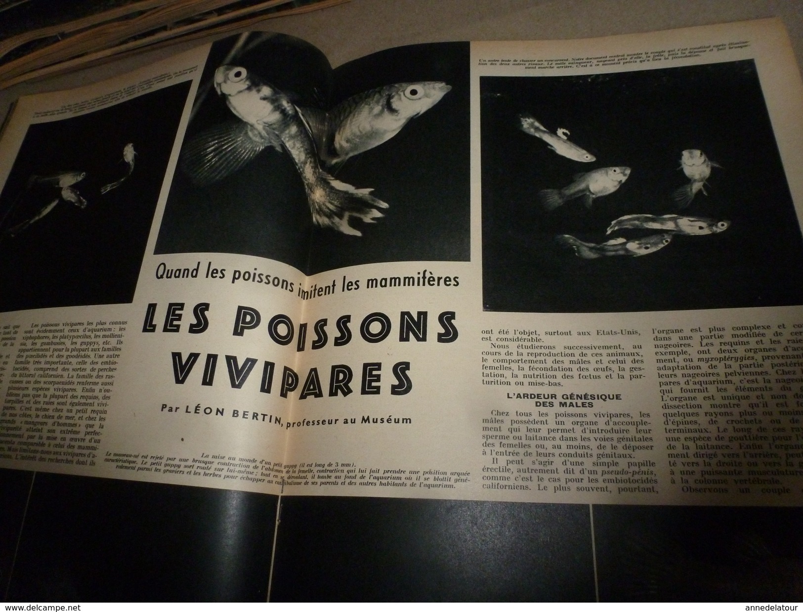 1954 SETA :Ecriture crétoise;Rayonnement cosmique;Problèmes centrales atomiques;Chasse mammifères marins;Acier inox;etc