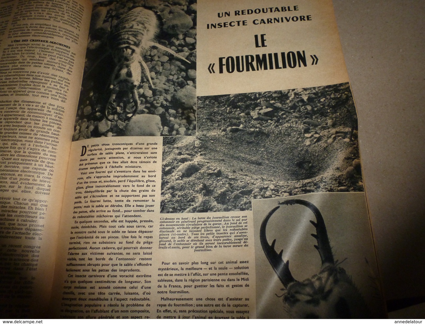 1955 SETA :Histoire du CHEVAL;Bombe A;Le fourmilion;Record vitesse sur rail;Transistors ;Les Centuriations romaines;etc