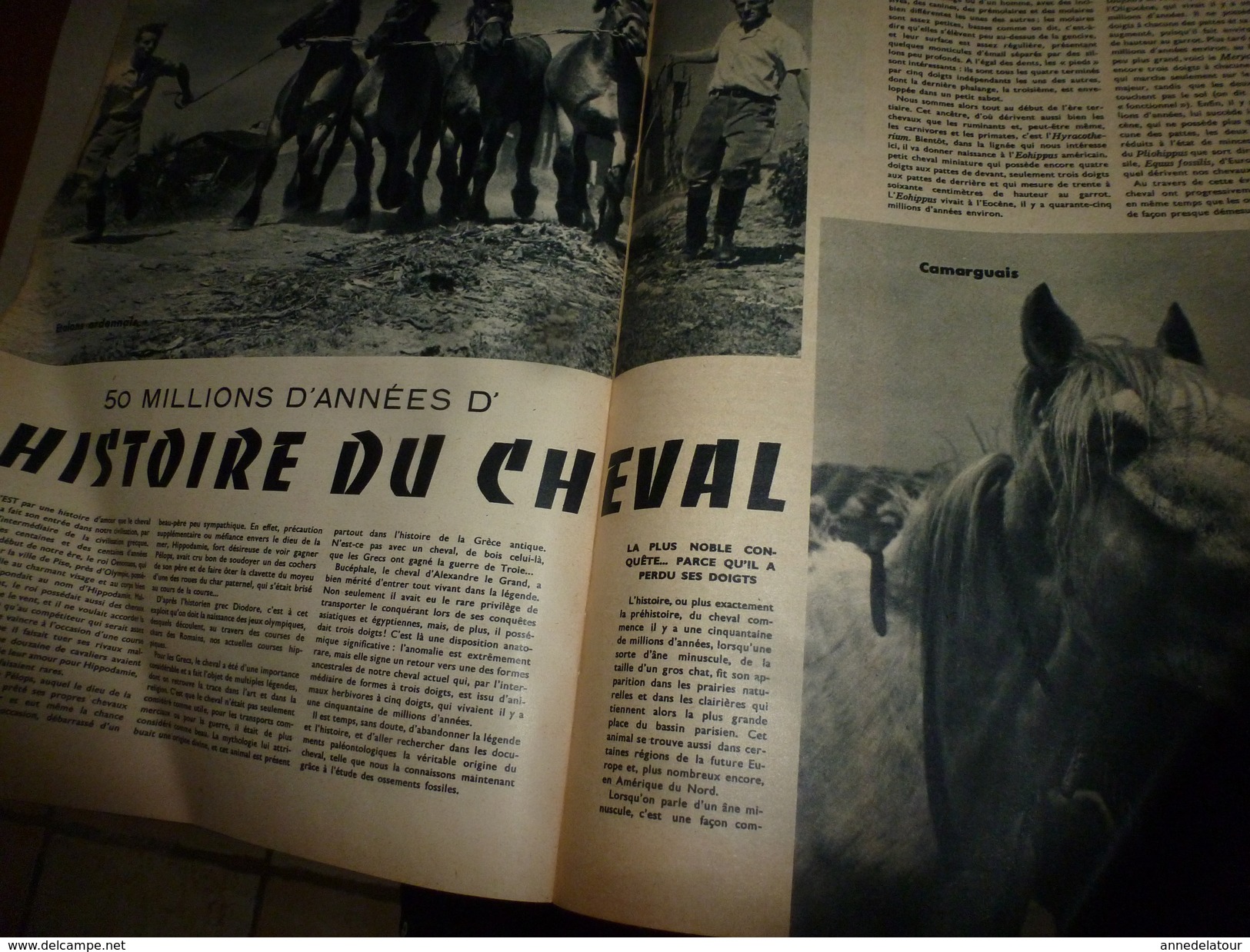 1955 SETA :Histoire du CHEVAL;Bombe A;Le fourmilion;Record vitesse sur rail;Transistors ;Les Centuriations romaines;etc