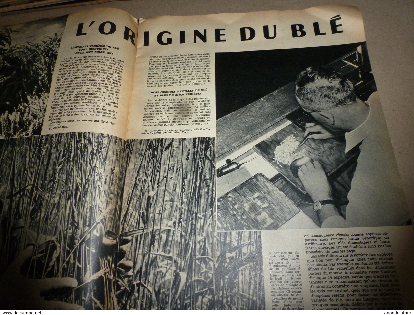 1955 SETA :Astronomie Soviet;Origine Du Blé;Gyroscope A Lames Vibrantes;St-Laurent (USA);Problème Des Hybrides;etc - Science