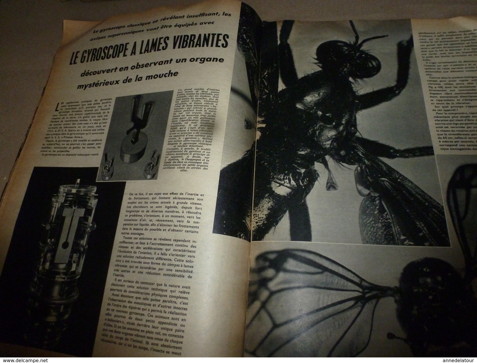 1955 SETA :Astronomie soviet;Origine du blé;Gyroscope a lames vibrantes;St-Laurent (USA);Problème des hybrides;etc