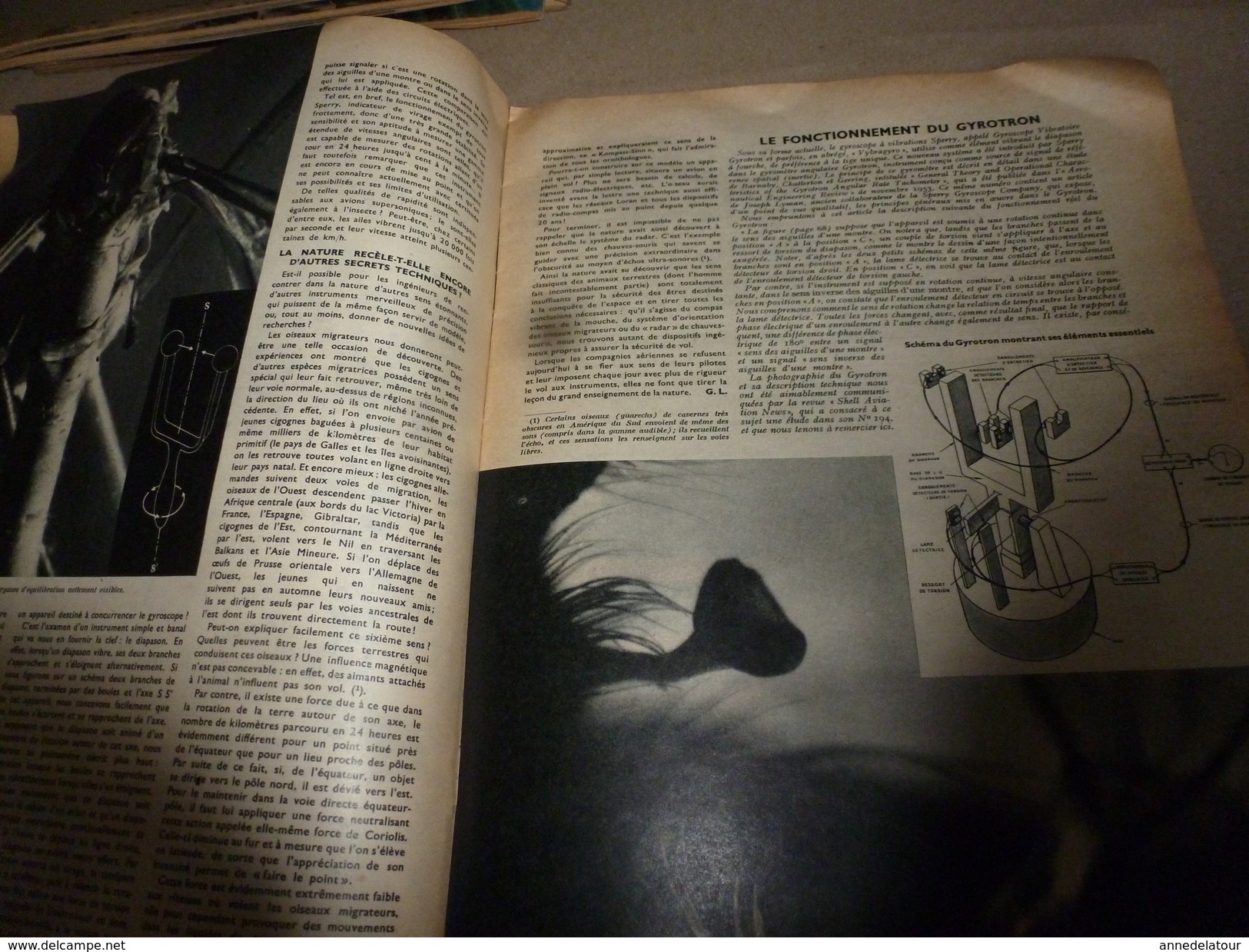 1955 SETA :Astronomie soviet;Origine du blé;Gyroscope a lames vibrantes;St-Laurent (USA);Problème des hybrides;etc