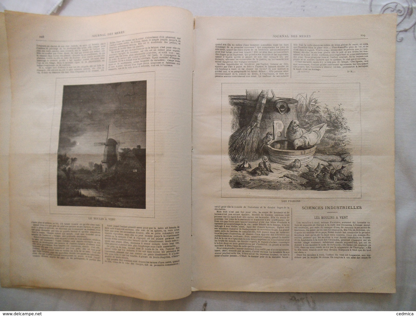 JOURNAL DES MERES N°15 1er AOUT 1881 LE MOULIN A VENT,LES PIGEONS,LE CHATEAU DE MONSEC,TOILETTES DE DAMES  16 PAGES - Revues Anciennes - Avant 1900