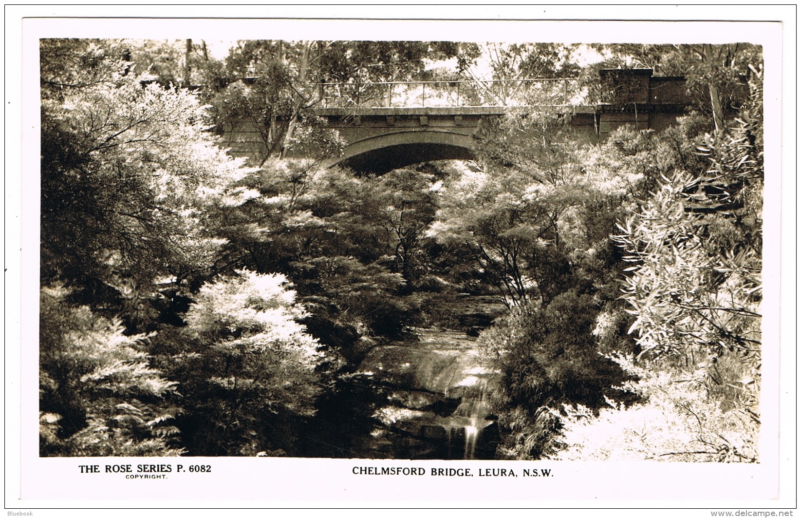 RB 1161 - Real Photo Postcard - Chelmsford Bridge Leura - NSW Australia - Other & Unclassified