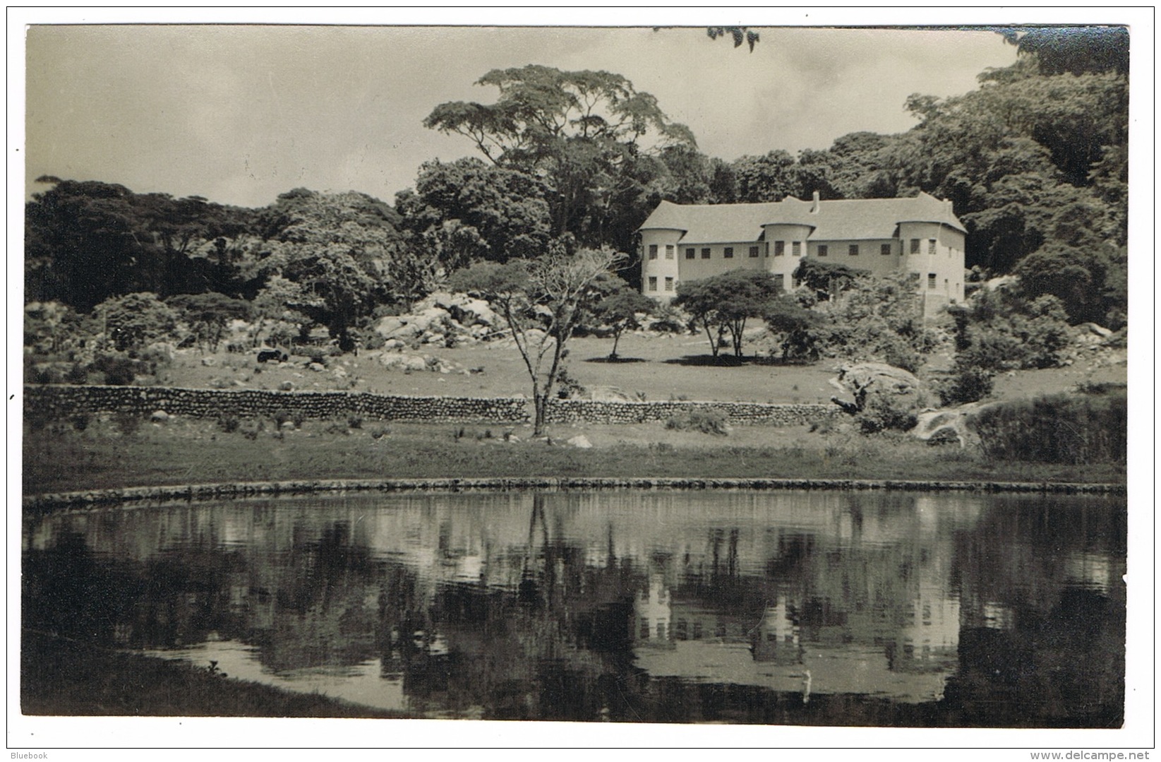 RB 1164 - Real Photo Postcard - Leopard Rock Hotel - Southern Rhodesia Zimbabwe - Zimbabwe