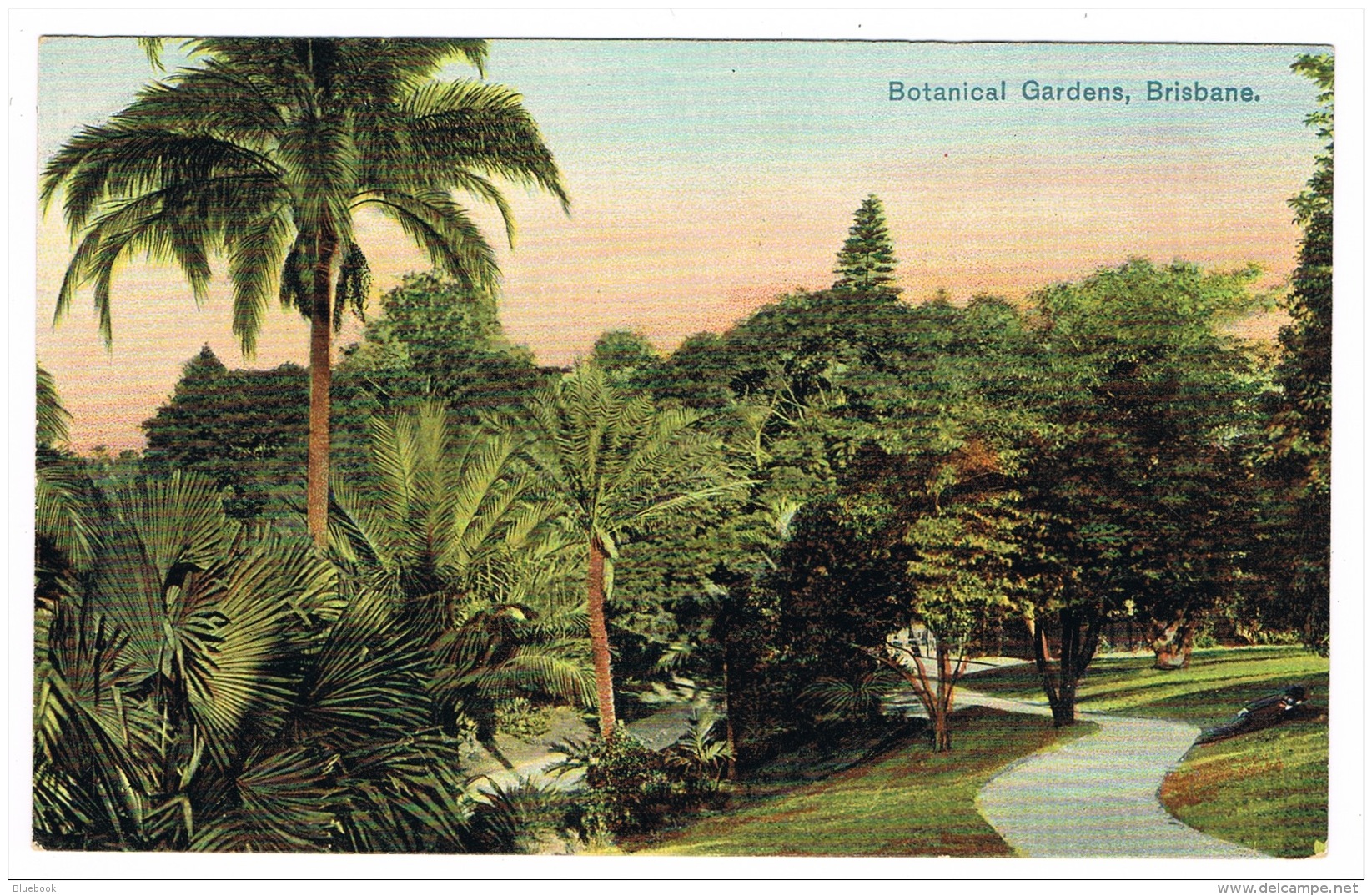 RB 1164 - Early Postcard - Botanical Gardens Brisbane - Queensland Australia - Brisbane