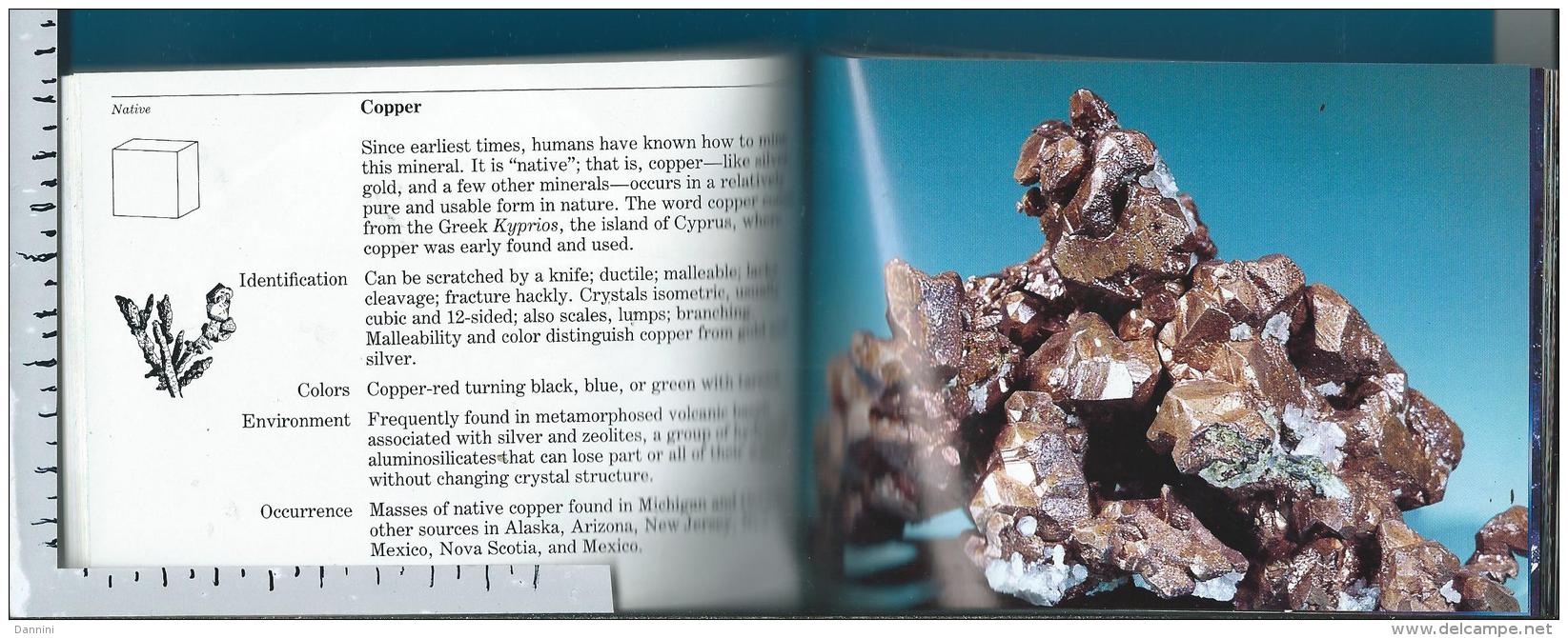 Rocks    Minerals   Pocket Guide   Steene    Mineralien - Autres & Non Classés