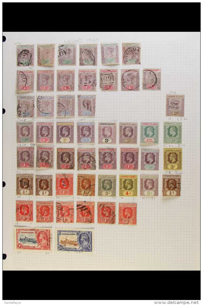 1890-1954 MINT &amp; USED COLLECTION. A Useful Range, Often Lightly Duplicated That Includes A Small QV Range,... - Leeward  Islands