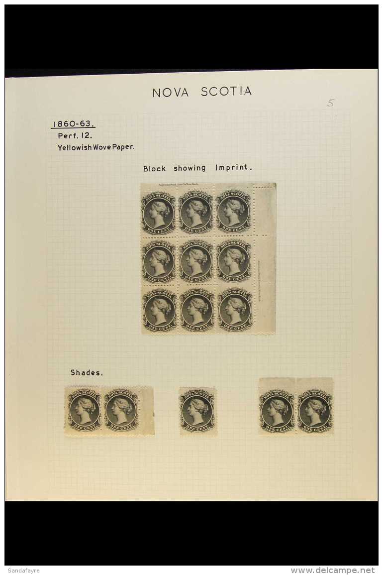 1860 - 1863 NEW CURRENCY ISSUES Attractive Collection Of Mint And Used Written Up On Pages With Shades, Multiples... - Autres & Non Classés