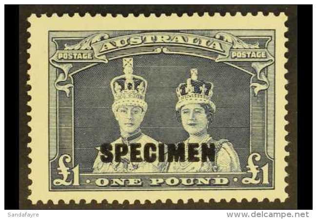 1937-49 &pound;1 Bluish Slate Robes With "SPECIMEN" Overprint, SG 178s, Fine Mint, Very Fresh &amp; Scarce. For... - Sonstige & Ohne Zuordnung