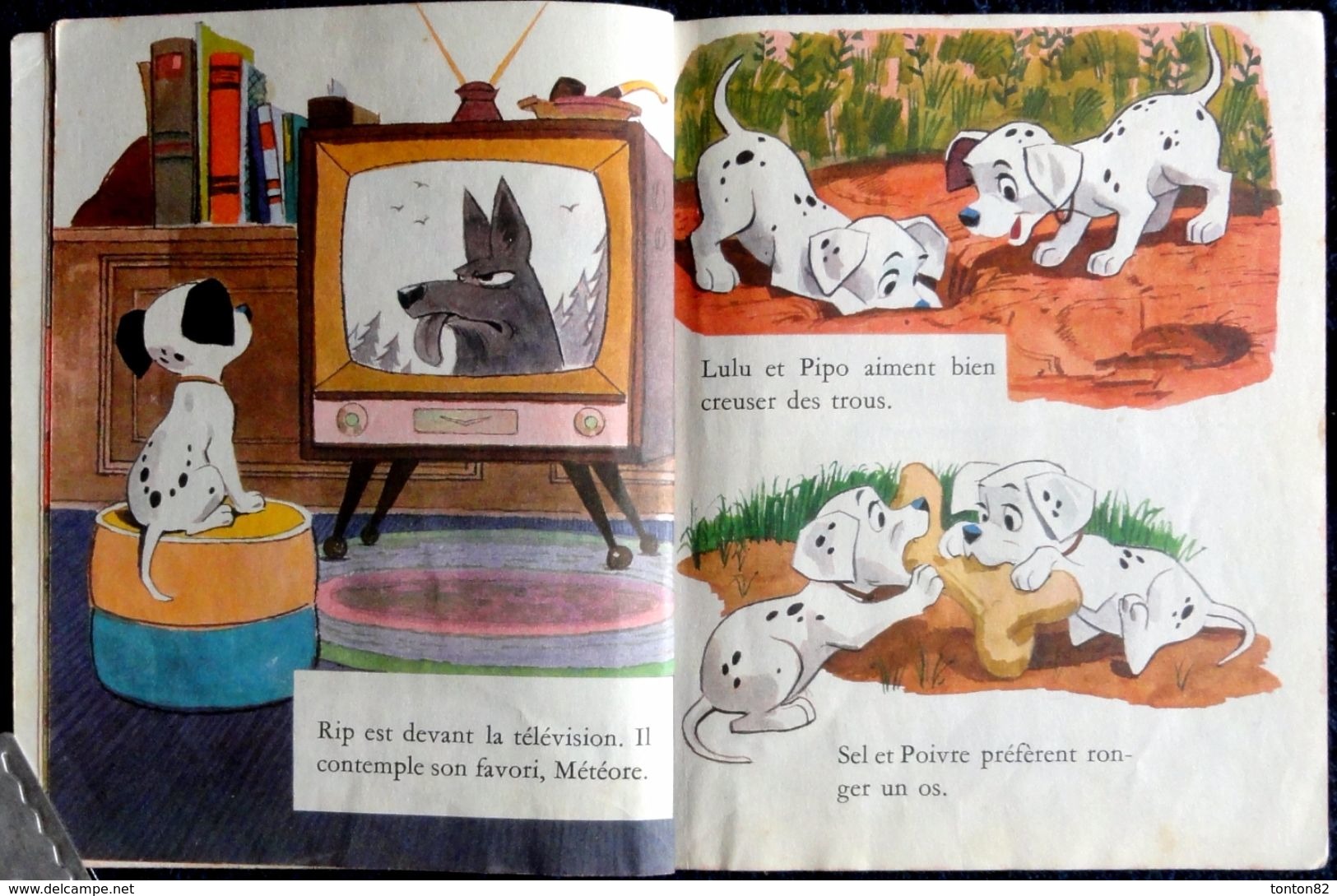 Walt Disney - RIP Tente Sa Chance - Les Albums Roses - Hachette - ( 1961 ) . - Autres & Non Classés