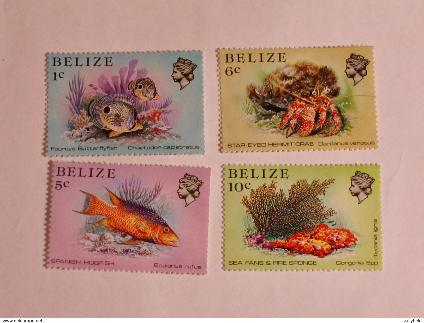 BELIZE  1984  LOT# 1  MARINE LIFE - Belize (1973-...)