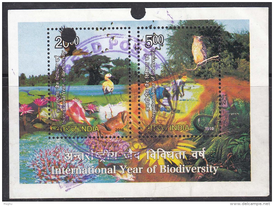 Postal Used India Miniature 2010, International Year Of Biodiversity, Nature, Bird, Owl, Crab Job, Plant, Tree - Other & Unclassified