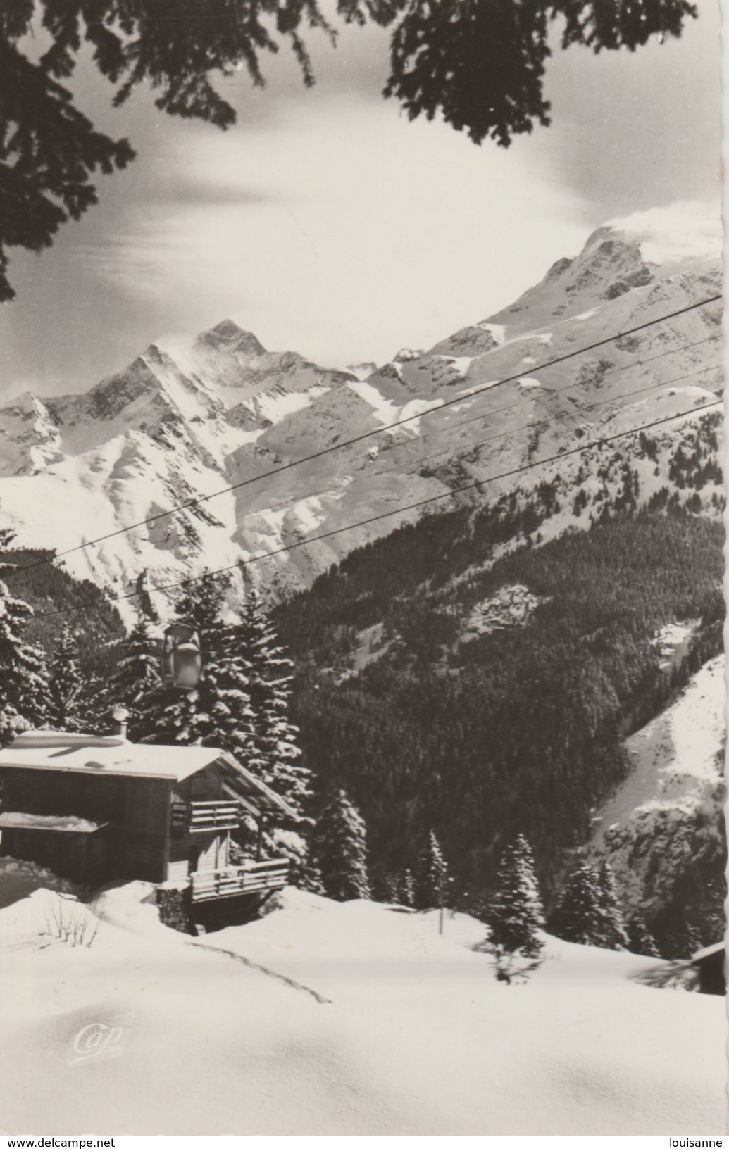 17 / 7 / 79  -    LES  CONTAMINES - MONTJOIE  ( 74 )  -  LE  TÉLÉBENNE  DE  MONTJOIE  -  CPSM - Contamine-sur-Arve