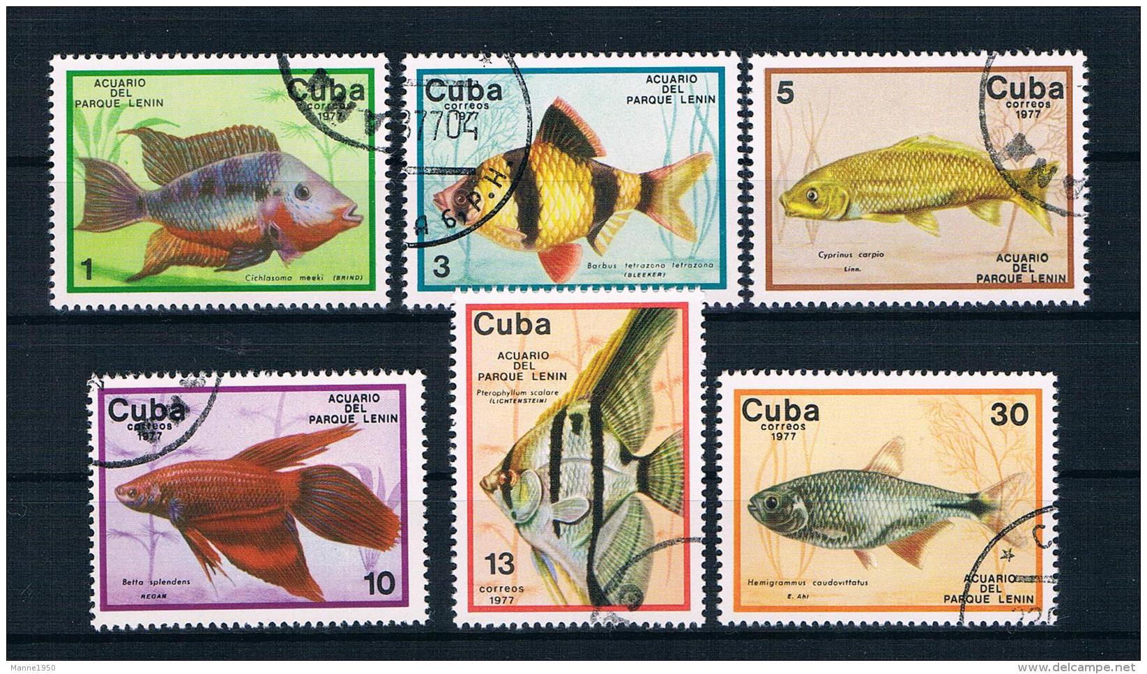 Kuba 1977 Fische Mi.Nr. 2202/07 Kpl. Satz Gest. - Usados