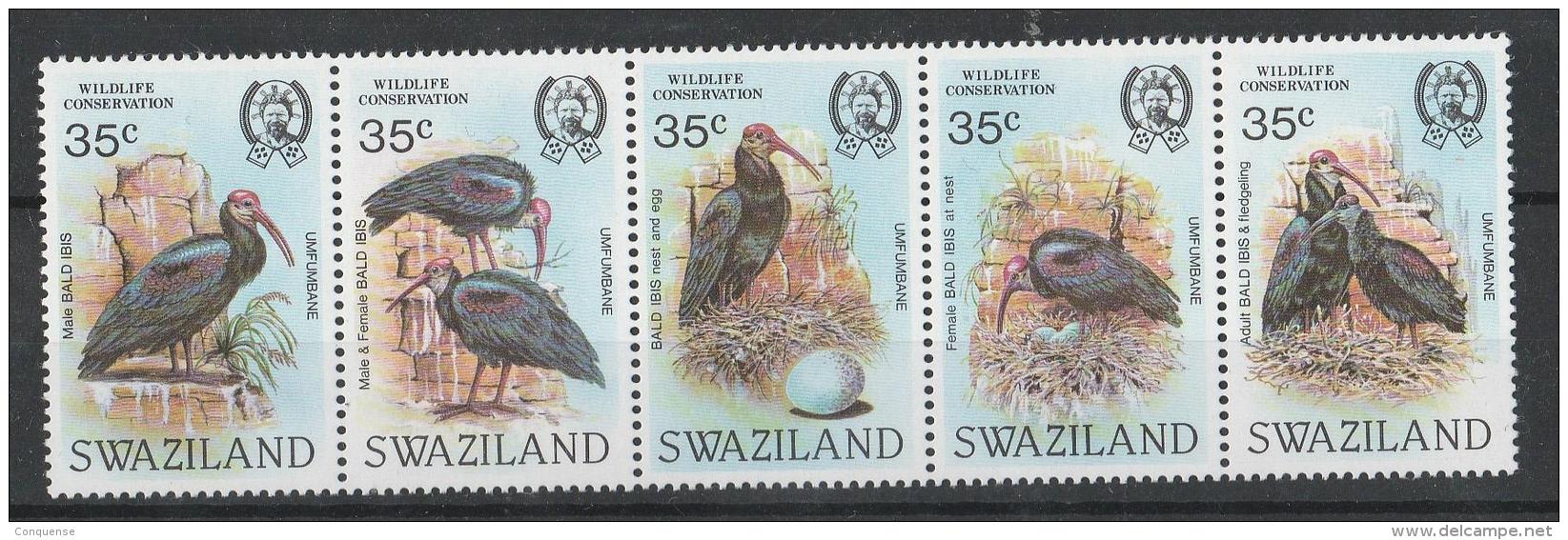 SWAZILAND   1984  **   MNH   BIRDS - Swaziland (1968-...)