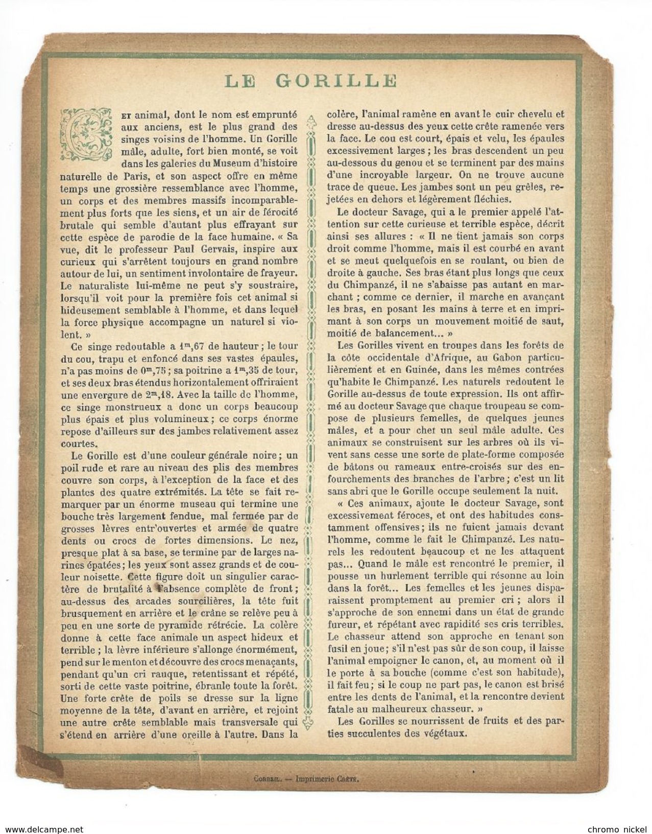 Gorille Singe Protège-cahier Couverture De Cahier Corbeil Crété Fin XIX  Didactique Au Dos. Etat Moyen Mais RR. - Animals