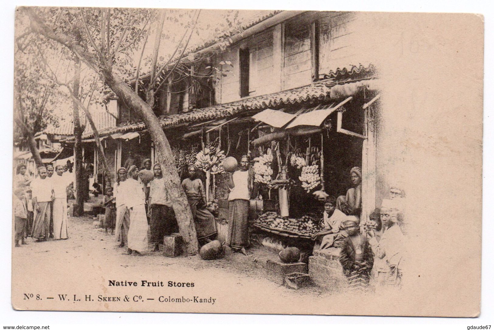 NATIVE FRUIT STORES - Sri Lanka (Ceilán)