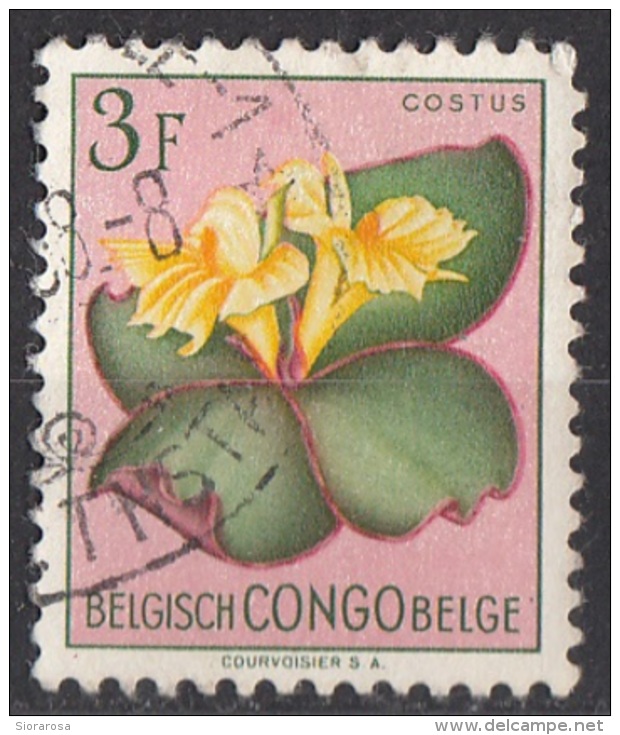 275 Congo Belga 1952 Fiori Flowers COSTUS Belge Belgisch Used - Oblitérés