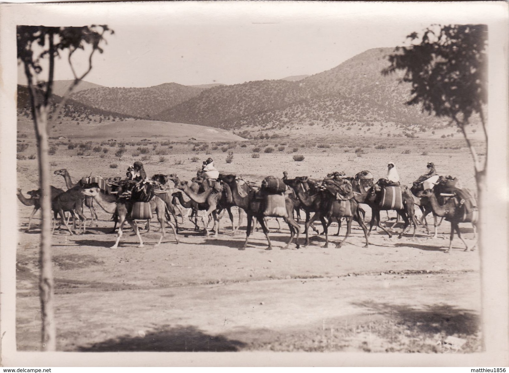 Photo Janvier 1925 GHARDAIA - Départ D'une Caravane (A175) - Ghardaïa