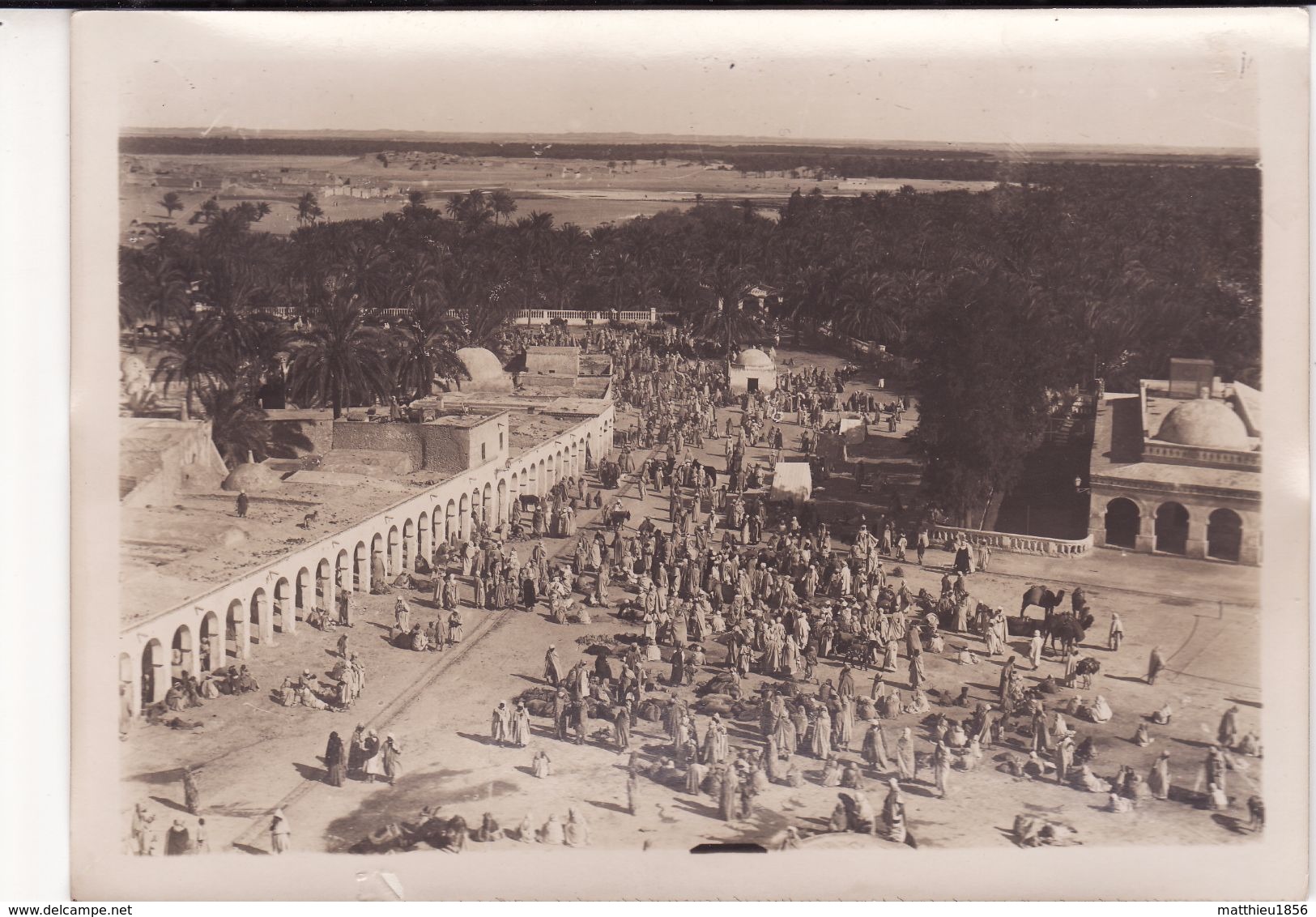 Photo 1925 LAGHOUAT - "le Marché Indigène" (A175) - Laghouat