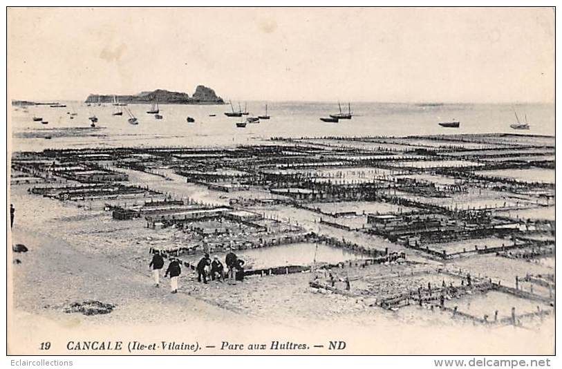 Cancale      35    Thème De L'Huitre . Le Parc      (voir Scan) - Cancale