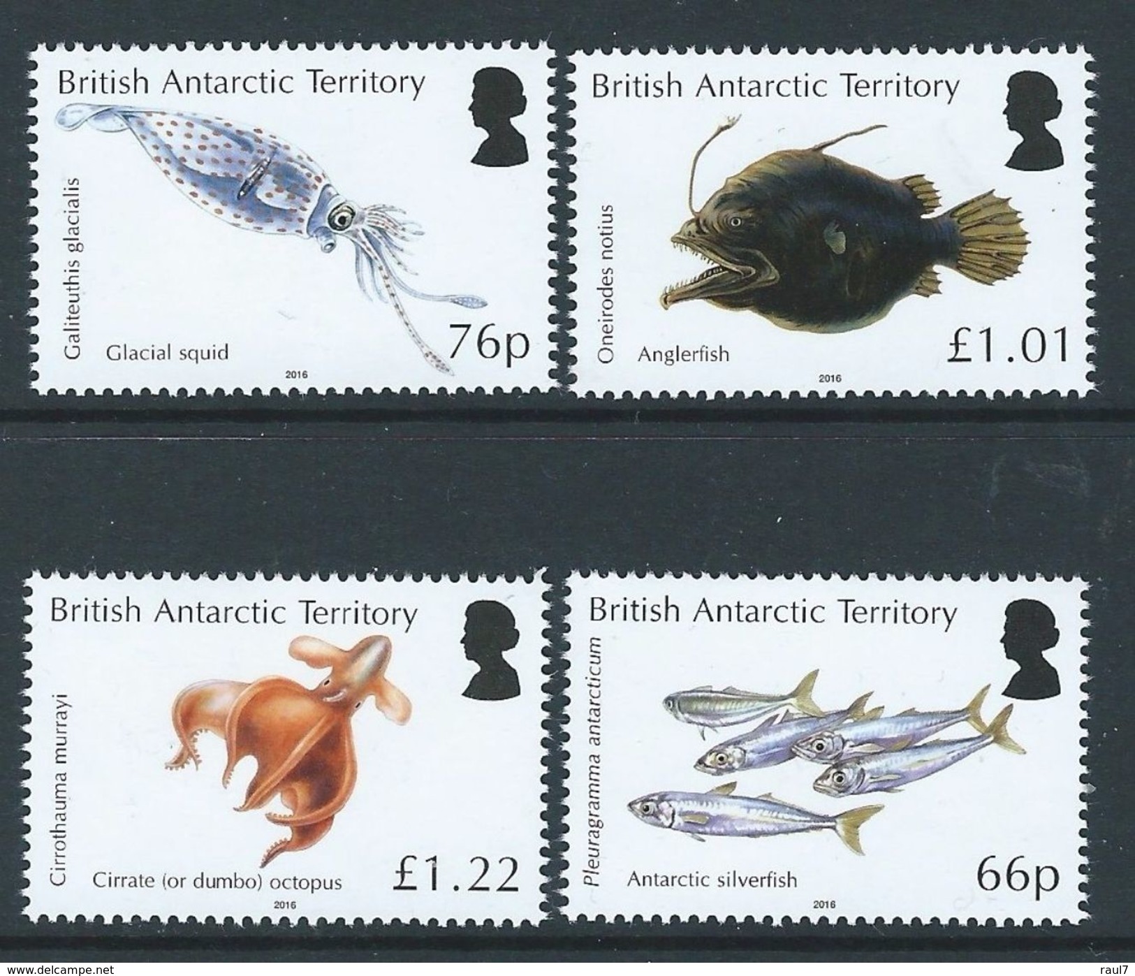 British Antarctic Territory 2016 - Faune Antarctic, Ocean Zones - 4v Neufs // Mnh Set - Unused Stamps