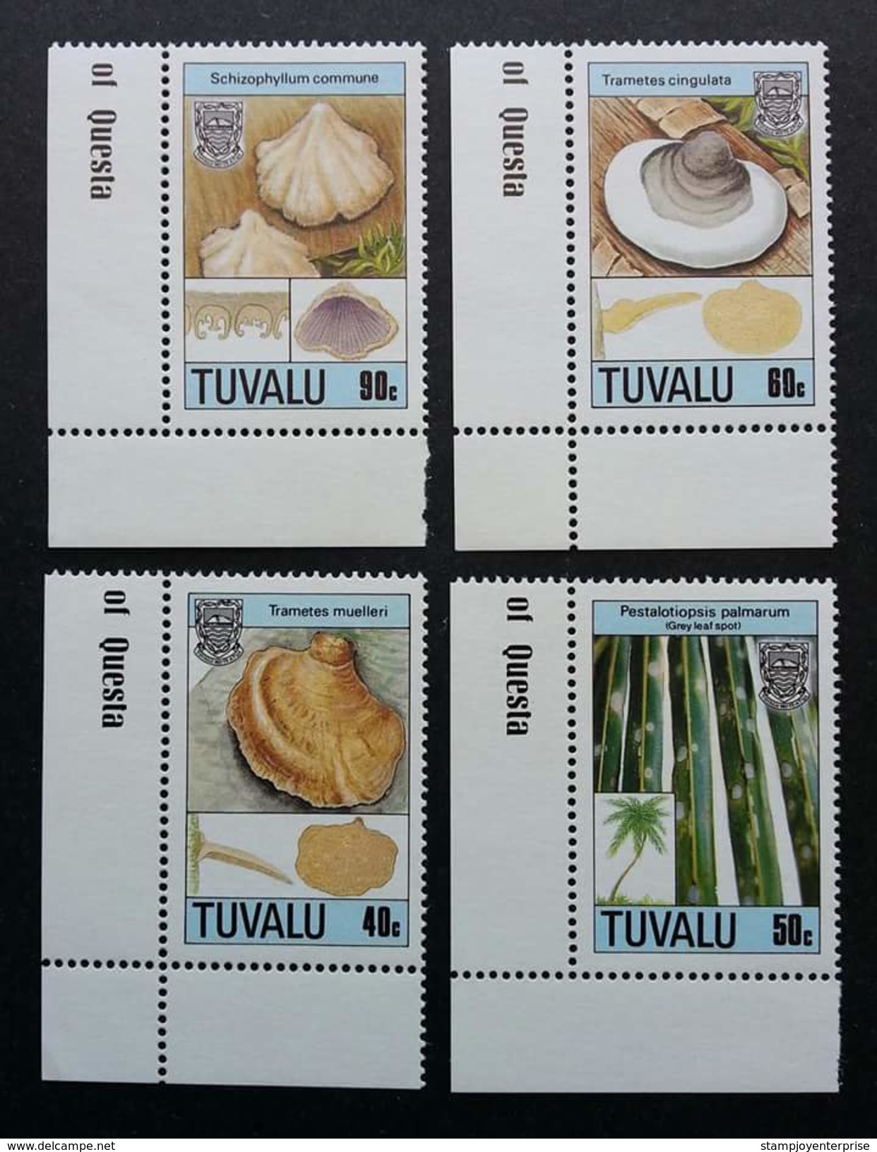 Tuvalu Seashell Fossils 1990 Sea Shell Marine (stamp With Corner Margin) MNH *rare - Tuvalu