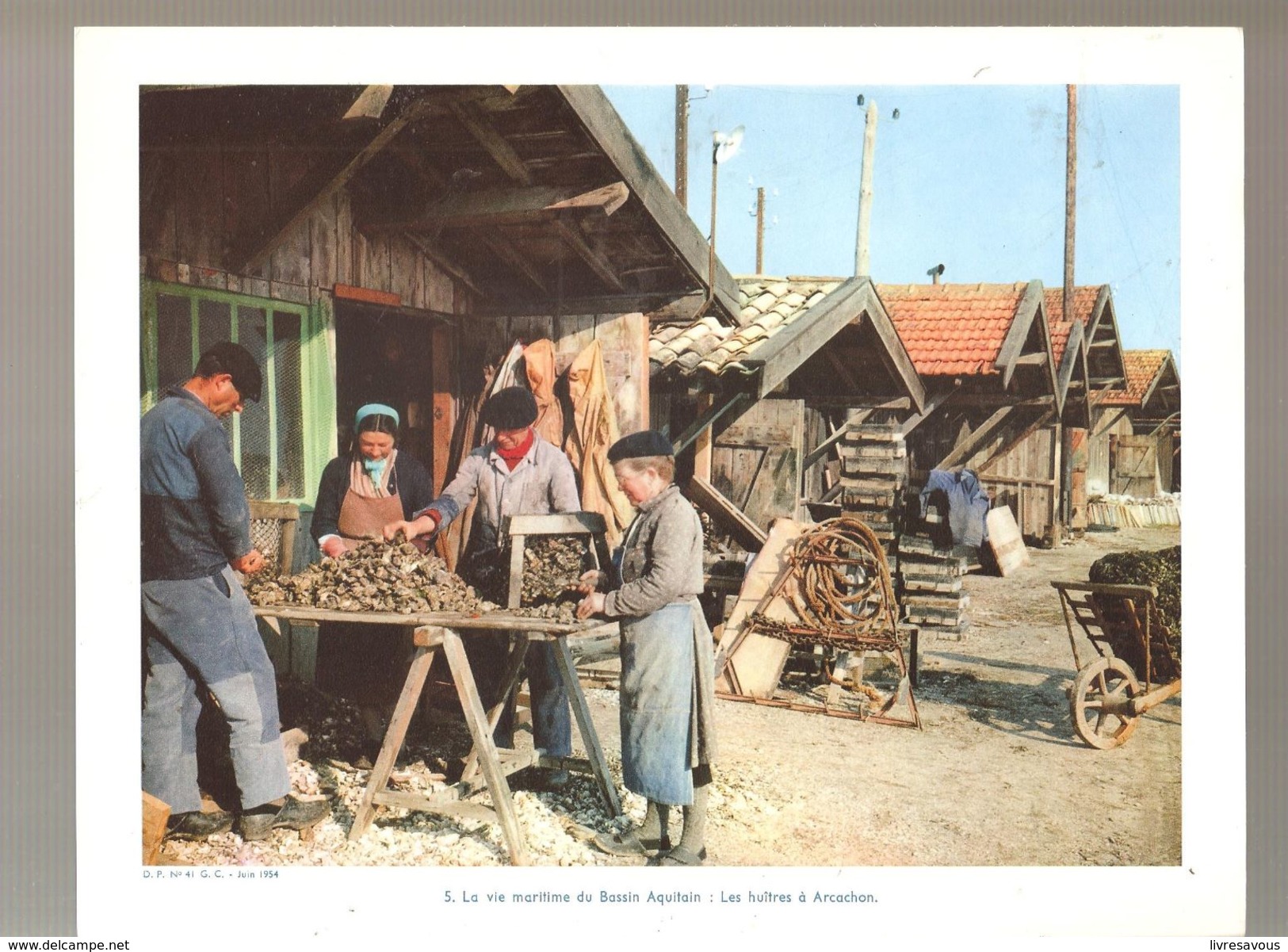 La Vie Maritime Du Bassin Aquitain: Les Huîtres à Arcachons - Other & Unclassified