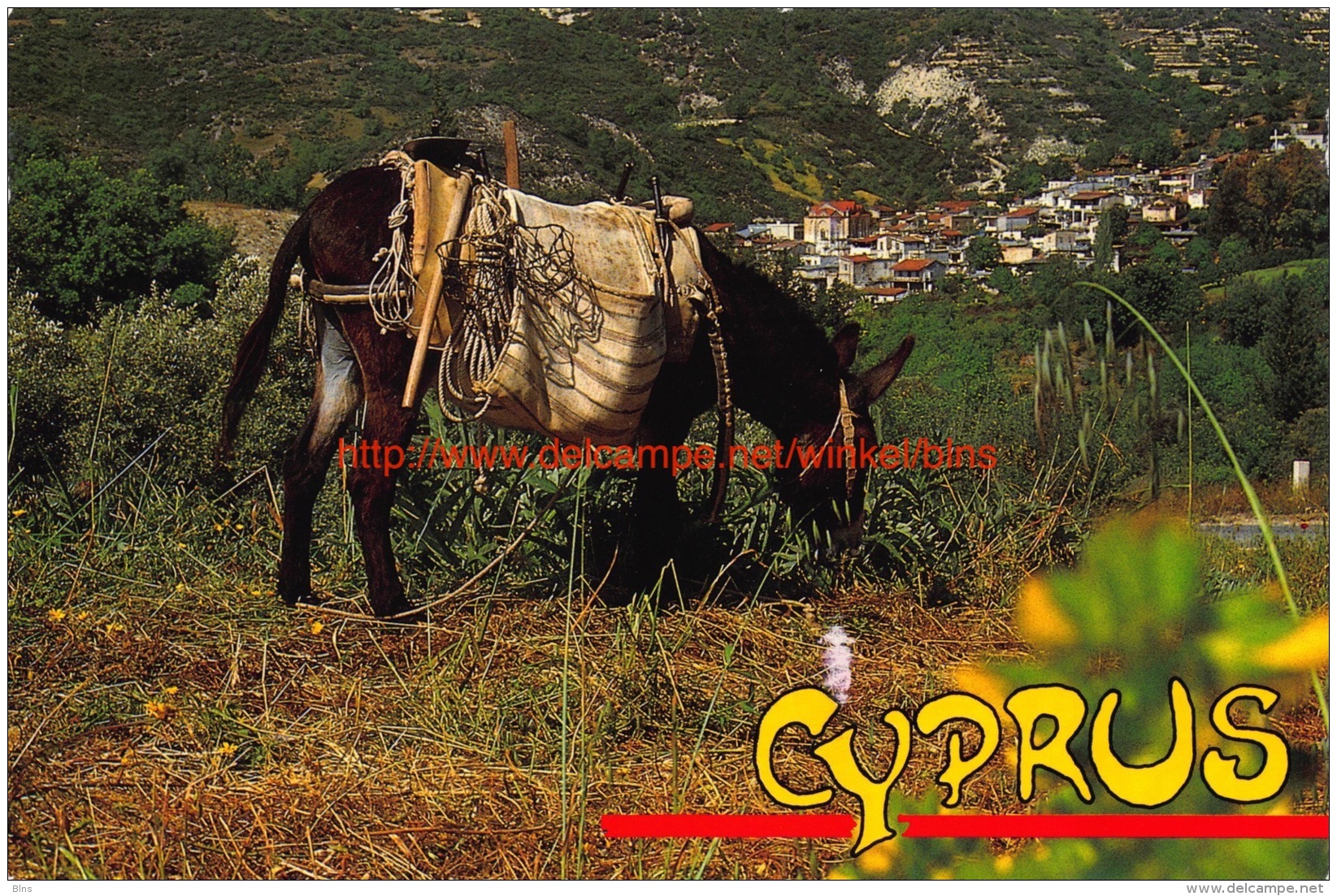 Mountain Village And Local Transport - Cyprus - Chypre