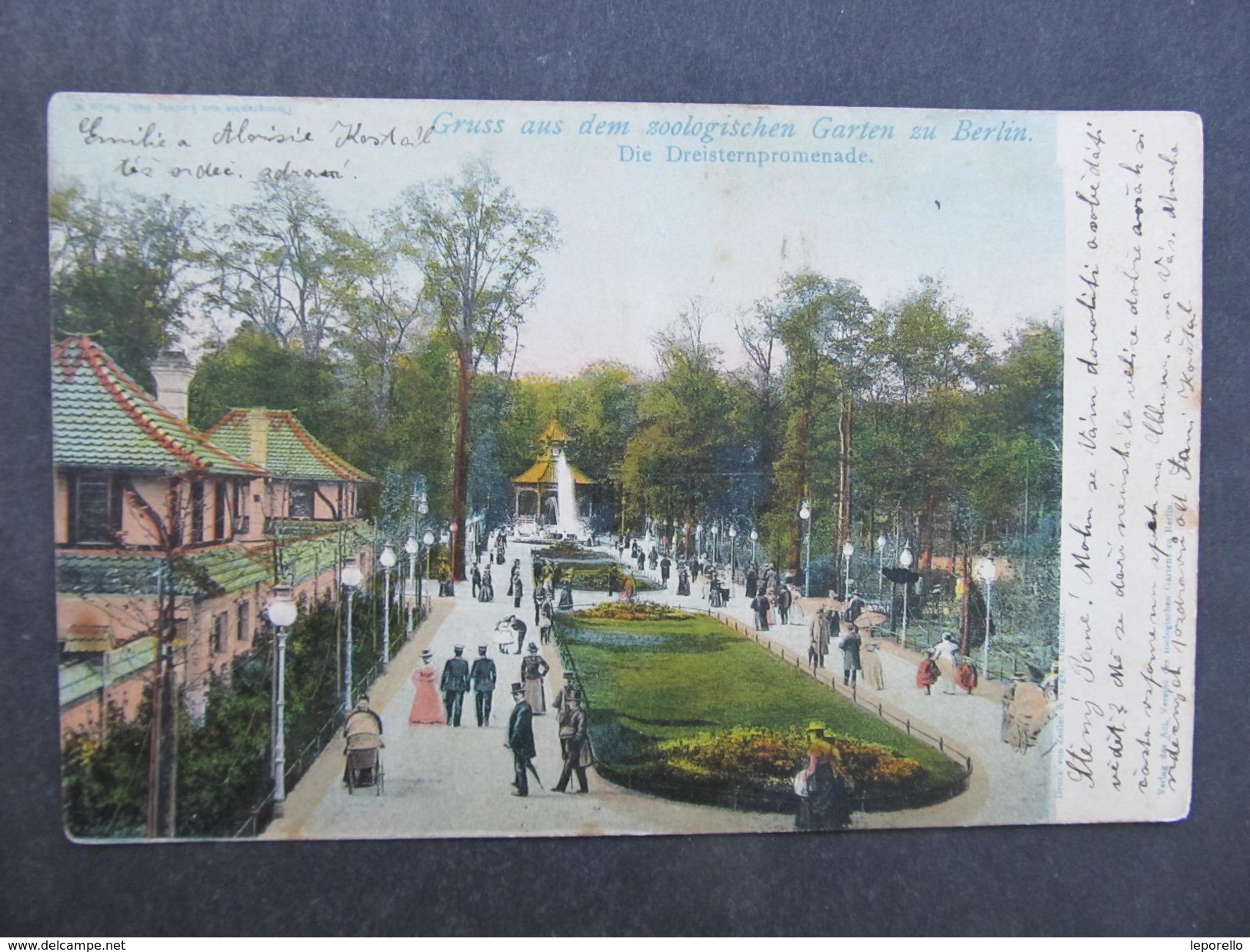 AK BERLIN ZOO Tiergarten 1905//// D*25665 - Dierentuin