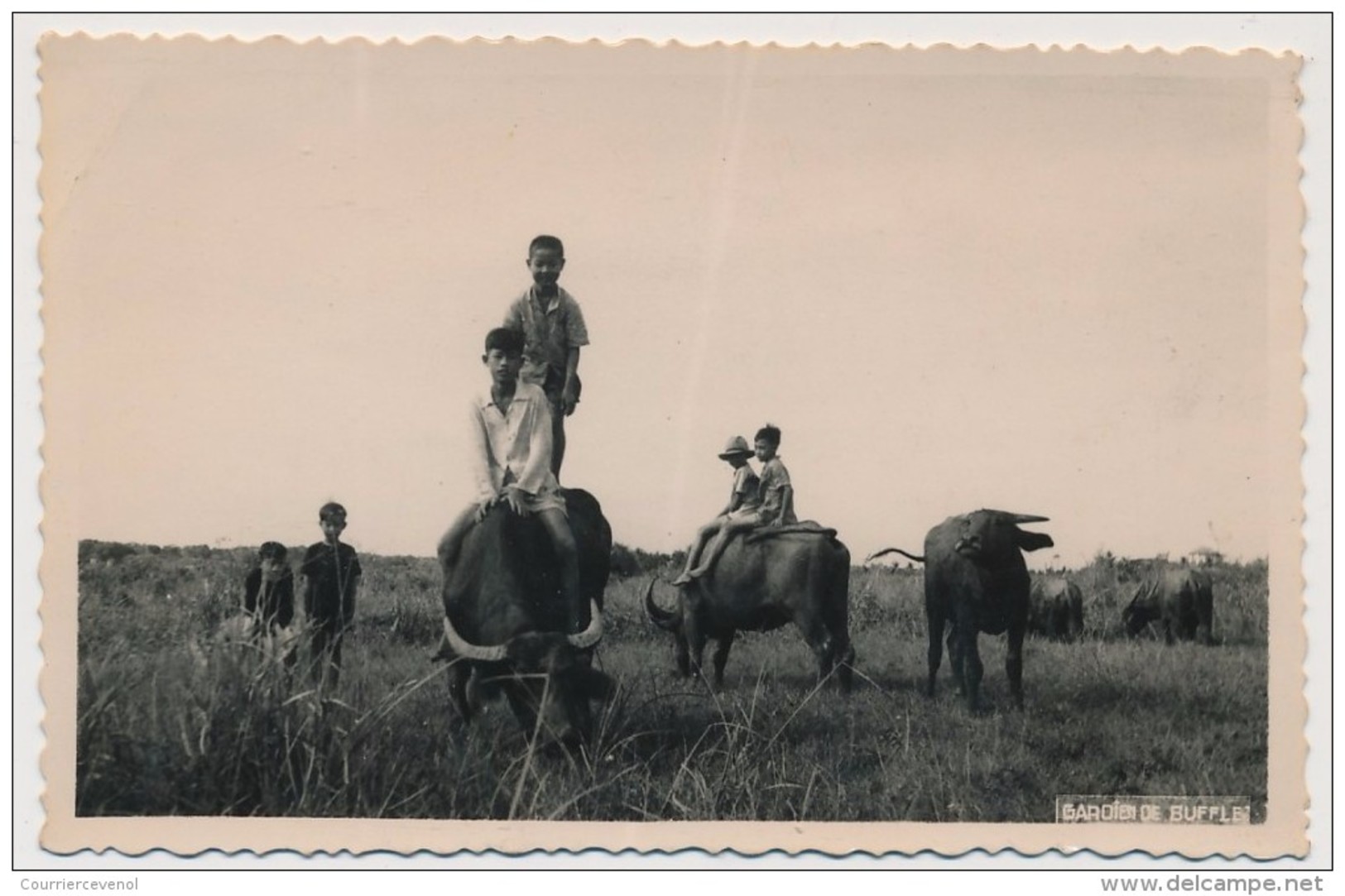 CPSM Carte Photo - INDOCHINE - Gardien De Buffle - Vietnam