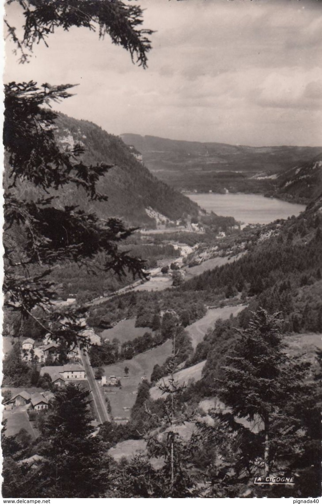 Cp , 01 , NANTUA , Vallée Des Neyrolles Et Le Lac De Nantua - Nantua