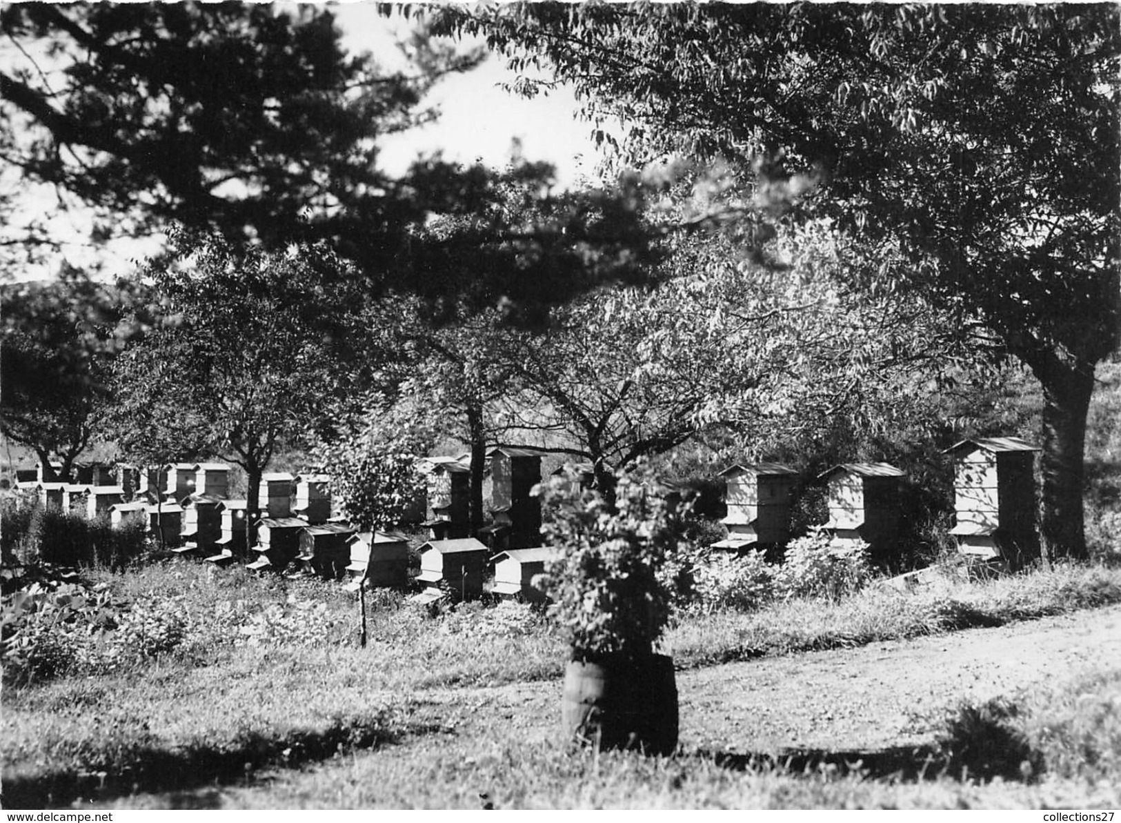 48-LA BASTIDE- NOTRE DAME DES NEIGES- LE RUCHER - Autres & Non Classés