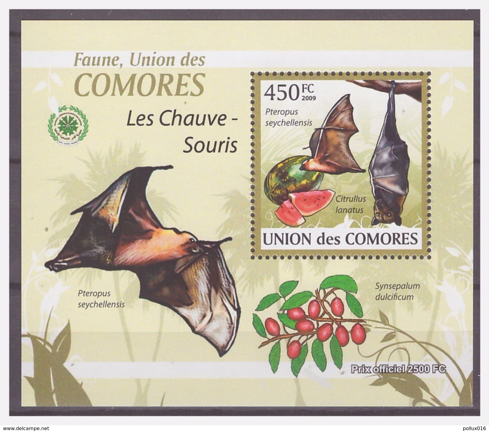 0267 Comores 2009 Vleermuis Bat Chauve-souris S/S MNH - Vleermuizen