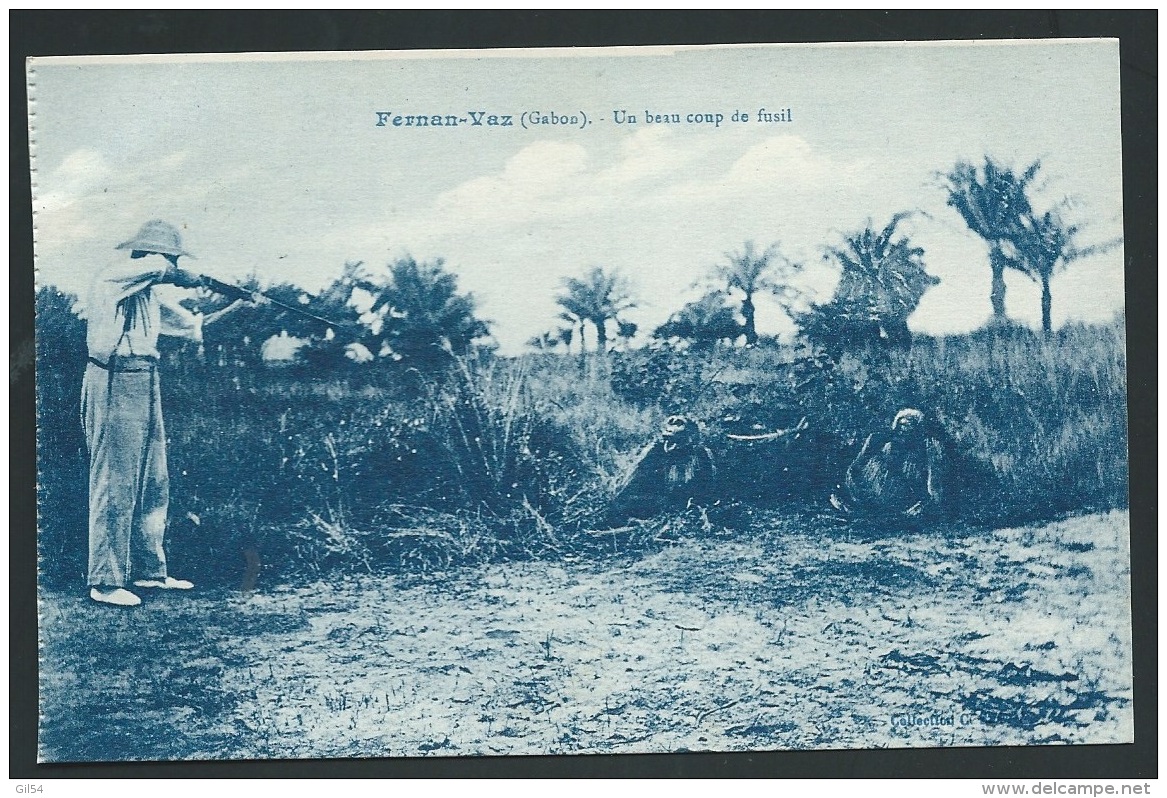 Gabon -  Fernan-Vaz -   ( Chasse ) Un Beau Coup De Fusil     - Ode 50 - Gabon